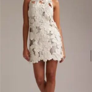 ASOS Cream Floral Lace Mini Dress